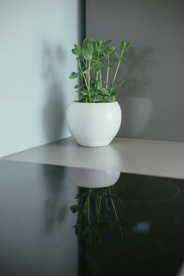 Maslina & Lavanda Lägenhet Podstrana Exteriör bild